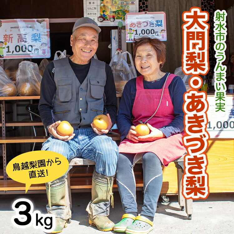 【ふるさと納税】射水の鳥越農園から直送！【大門梨（あきづき梨）】3kg　【梨 ナシ 果物 フルーツ 先行予約】 ※2025年9月中旬～2025年9月下旬頃に順次発送いたします