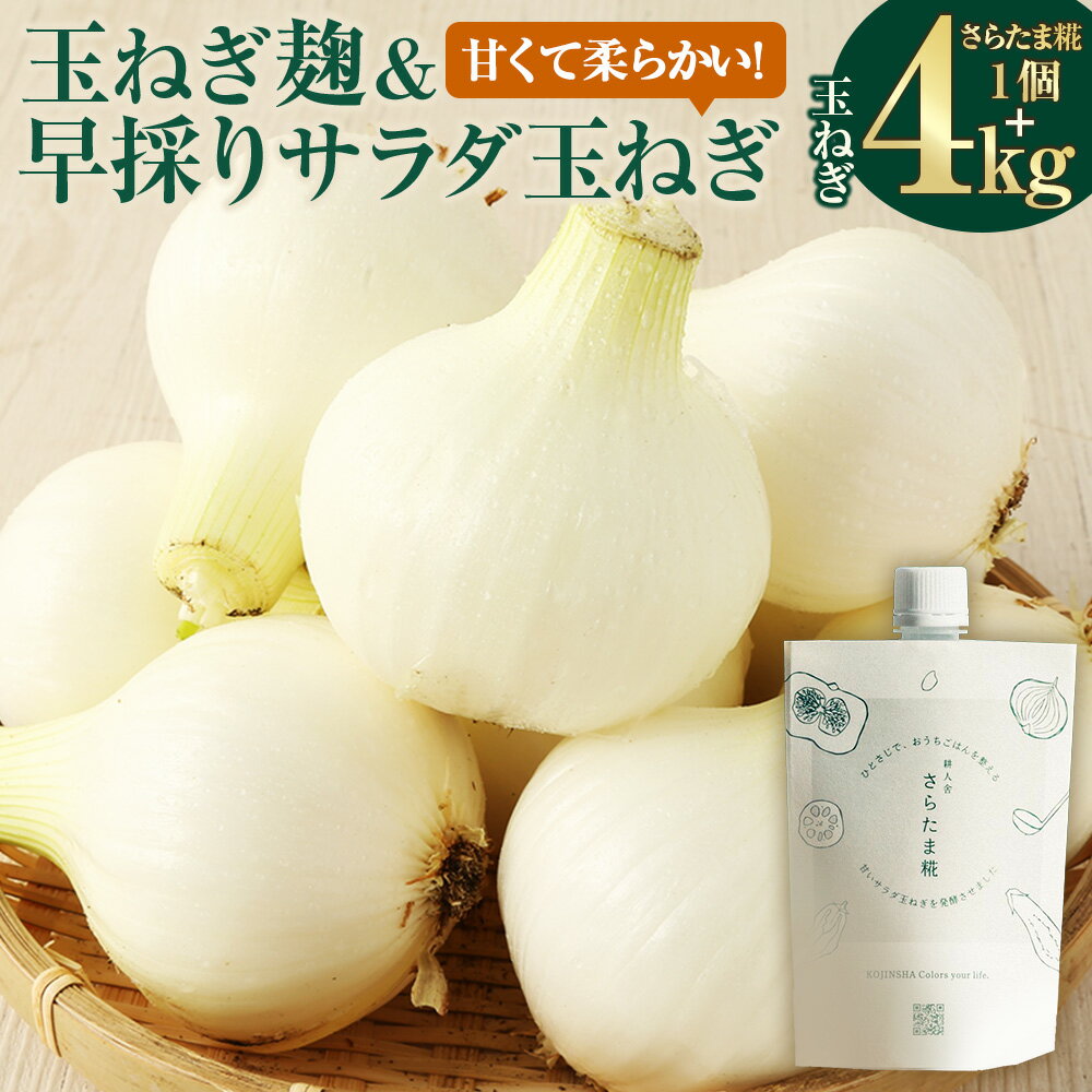 【ふるさと納税】玉ねぎ麹＆1年に1度だけ!甘くて柔らかい!早採りサラダ玉ねぎ 4kg 優品 サイズ混合 ＜栽培期間中農薬不使用/熊本県水俣市産/耕人舎＞さらたま タマネギ 玉葱 野菜 米麹 調味料 セット 熊本県 水俣市産 耕人舎 送料無料【2026年3月下旬-4月下旬発送予定】