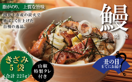 【土用の丑の日までにお届け】＜四万十食品＞うなぎ蒲焼きざみ5袋(合計225g)／Ｋ5 鰻 ウナギ うなぎ お取り寄せ グルメ きざみ ギフト 食べ物 食品 おかず 国産鰻 蒲焼 うなぎ蒲焼 ウナギ蒲焼 鰻蒲焼 冷凍 送料無料 国産 高知 25-1032U