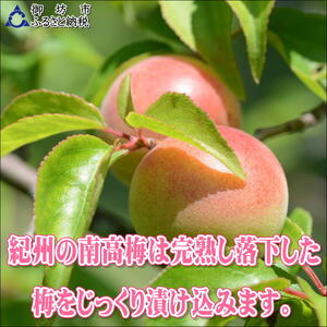 【0914-4】【家庭用】紀州南高梅　うす塩味梅　1.2ｋｇ