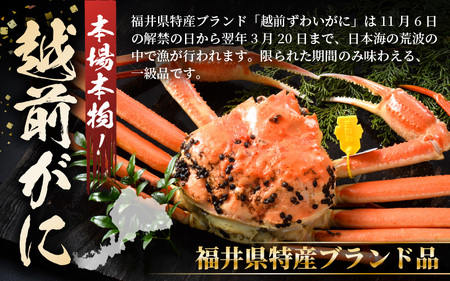 【先行予約】【訳あり】 茹で「越前ズワイ蟹」 大 2杯 脚折れ 【2025年2月発送分】【わけあり ワケアリ カニ かに 蟹 越前ガニ 越前蟹 ずわいがに ズワイガニ ズワイ ボイルガニ 姿 ボイル 