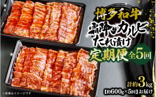 博多和牛 霜降りカルビたれ漬け 全5回定期便 約600g×5回 肉 お肉 焼肉 牛肉