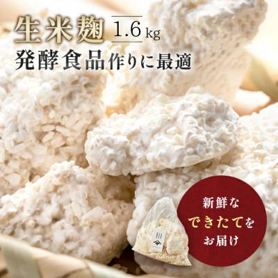 ふるさと納税 矢吹町 生米麹1.6kg　塩麹、生甘酒、醤油糀、味噌などの発酵食品作りに!安心安全の無添加!