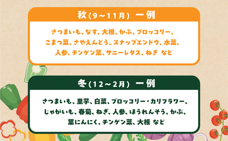 【定期便】あつみの旬の野菜BOX 4回定期便 やさい