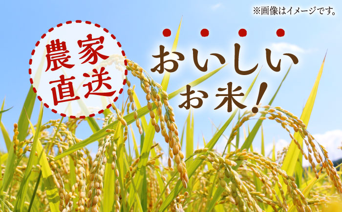 【6回定期便】 【数量限定】ヒノヒカリ・にこまる 白米 食べ比べ 計10kg（5kg×2袋）【竹下農園】 [ZEL012]