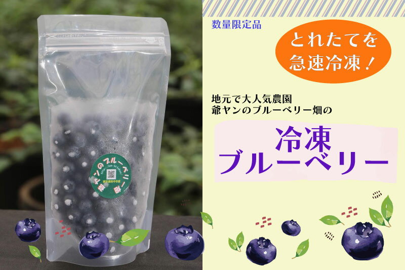 【ふるさと納税】爺ヤンのブルーベリー畑＿冷凍ブルーベリー