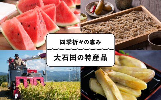 米 令和7年産 あきたこまち 無洗米 10kg 10kg×1袋 順次発送  山形県産 東北 ap-akmxa10x1-0