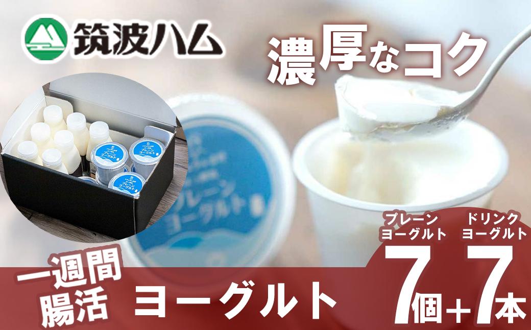 
            【筑波ハム】一週間腸活ヨーグルトギフトセット【 筑波ハム ヨーグルト ドリンクヨーグルト 乳 腸活 美容 健康 ギフト 贈答 茨城県産 国産 つくば市 】
          
