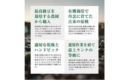 珈琲 スペシャルティーコーヒー豆【豆のまま】エチオピア モカ シャキッソ ナチュラル G1 600g