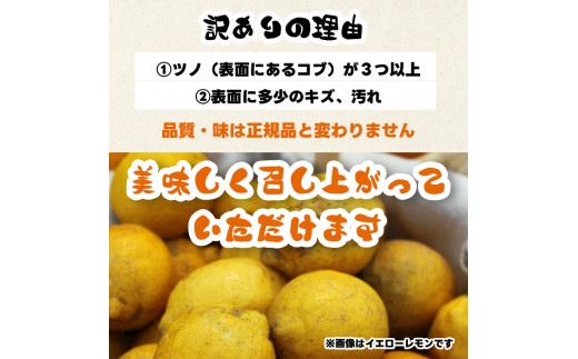 【訳あり】グリーンレモン1kg 《栽培期間中：防腐剤・ワックス不使用》2026年10月発送予定 檸檬 柑橘 果物 くだもの フルーツ 瀬戸内 251004