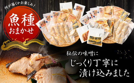 【訳あり】味噌漬けセット 西京漬け 照り焼き用たまり醤油漬け 合計約2.5kg 種類おまかせ 魚介 お魚 テリヤキ みそ焼き 波津漁港