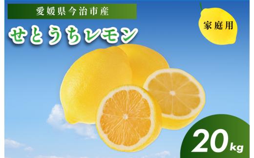 せとうちレモン　今治産　20kg【K002320KG20】