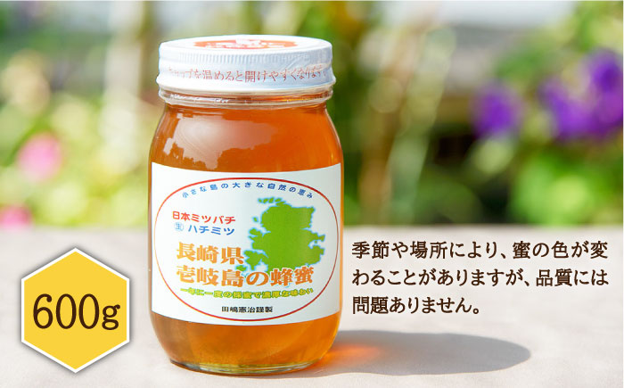 ニホンミツバチ 生蜂蜜 600g×1 《壱岐市》【憲ちゃんハチミツ】[JCL001] ハチミツ 蜂蜜 日本蜜蜂 29000 29000円