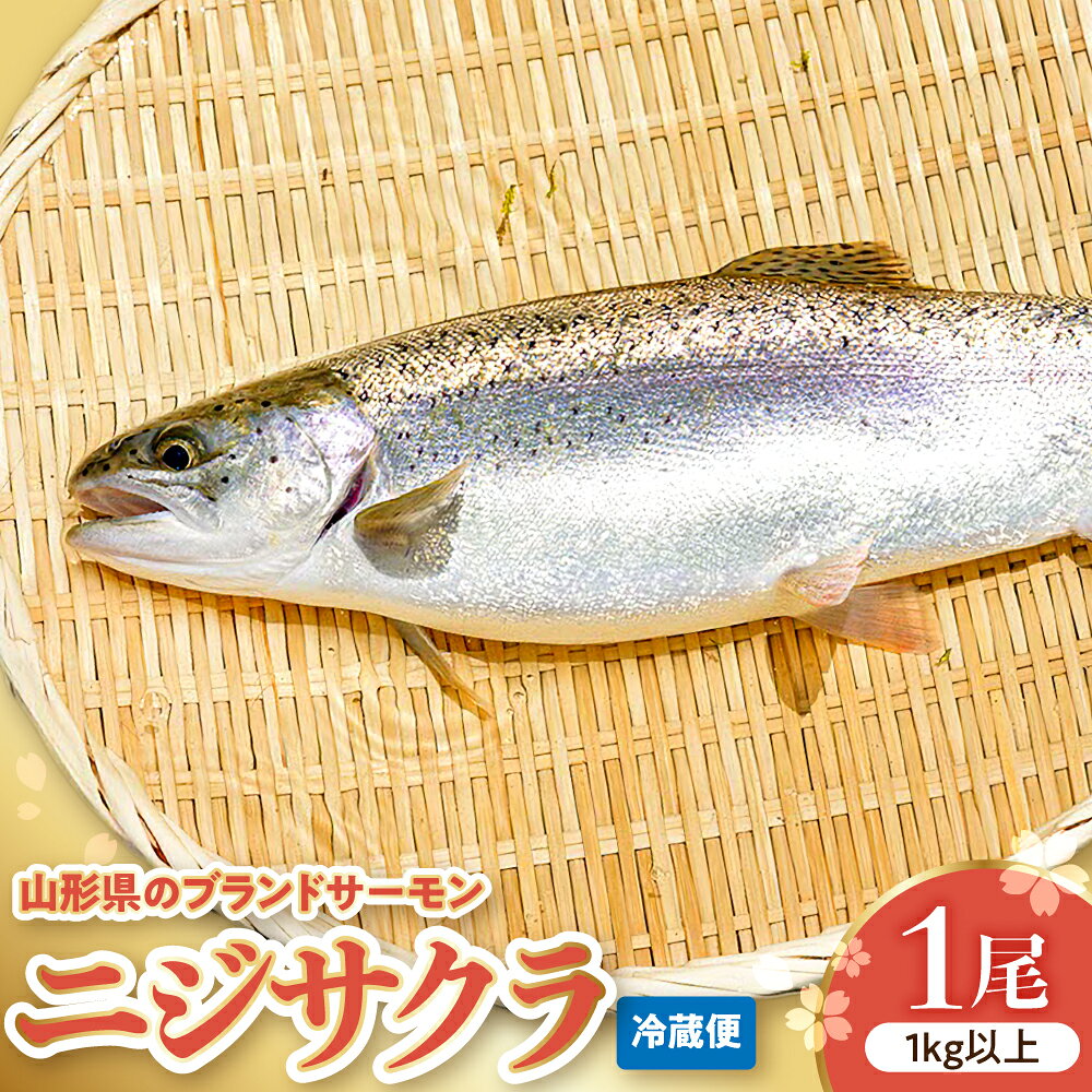【ふるさと納税】 ニジサクラ 1尾 （ 1kg 以上） 国産 山形 ブランド魚 川魚 魚介 魚介類 生食 刺身 焼き魚 マリネ カルパッチョ 和食 洋食 中華 おすすめ 冷蔵 チルド 美味しい バーベキュー BBQ お取り寄せ 産地直送 送料無料 さもりば養魚場 名水百選 水 山形県 東根市
