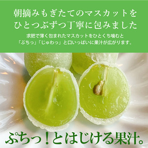 【先行受付】ひとつぶのマスカット 10個入り 5月中旬～9月中旬配送予定 共楽堂 夏季限定品 ぶどう ブドウ スイーツ デザート 和菓子 お菓子 菓子 018002