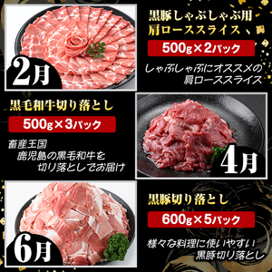 ＜定期便・全6回(偶数月)＞6人家族用！鹿児島県産 黒毛和牛・黒豚 定期便 C (総量約9kg) 国産 黒豚 しゃぶしゃぶ 肩 ロース スライス 訳あり 切り落とし 黒毛和牛 サーロイン ステーキ 黒