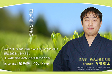 訳あり品 八女星野茶 深蒸し茶1100g 株式会社親和園《30日以内に順次出荷(土日祝除く)》福岡県 鞍手郡 鞍手町 お茶 緑茶 茶 八女星野茶 訳あり 送料無料