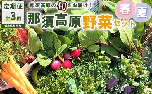 
            【3か月定期便】那須ブランド 春夏の那須高原野菜セット ｜ 野菜 お野菜 新鮮 詰め合わせ やさい みずみずしい 美味しい 自然 栃木県 那須町〔D-60〕※北海道・沖縄・離島への配送不可 ※2026年6月上旬～8月下旬頃に順次発送予定
          