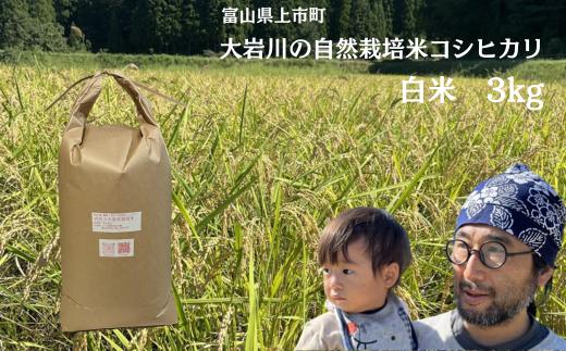 【令和7年産】米 上市町産  大岩川の自然栽培米コシヒカリ（白米）3kg [有吉自然農場] お米 コメ ご飯 ごはん こしひかり 富山県産