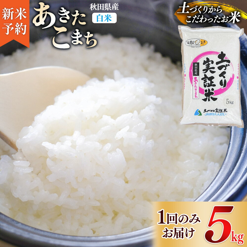 【ふるさと納税】《新米予約》米 5kg 精米 秋田県産 あきたこまち 令和7年産 土作り実証米 JA秋田しんせい