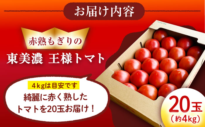 赤熟もぎりのひがしみの王様トマト 20玉（約4kg） / トマト とまと 王様トマト 完熟 / 恵那市 / 東美濃農業協同組合 [AUDS002]