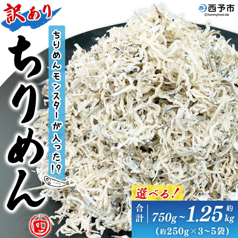 【ふるさと納税】＜ちりめんモンスターが入った!? 訳あり ちりめん 約750g(250g×3袋)/約1.25kg(250g×5袋)＞ちりめんじゃこ 海鮮 海産物 丼 おにぎり 具材 ご飯 おつまみ おやつ 小魚 乾物 国産 マルヨシ水産 特産品 愛媛県 西予市【冷蔵】『1か月以内に順次出荷予定』