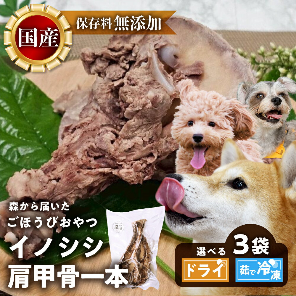 【ふるさと納税】ごちそうペットフード イノシシ肩甲骨 3袋 選べる 茹で冷凍 400g以上 / ドライ 200g以上 ジビエ ボーン 骨 ペット 犬 愛犬 ワンちゃん わんちゃん ごはん ご飯 いのしし イノシシ 猪 低カロリー たんぱく質 健康 ペット用品 エサ えさ おやつ