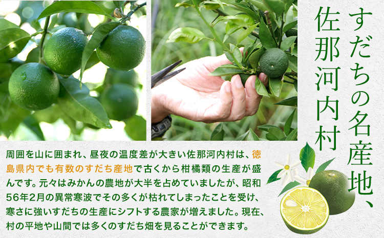 爽快！ 100% すだち 果汁 2000ml JA徳島市農産工場《30日以内に出荷予定(土日祝除く)》徳島県 佐那河内村 徳島県産 すだち 鍋料理 魚 寿司 すし スダチ すだち 焼酎 豆腐 肉 調味