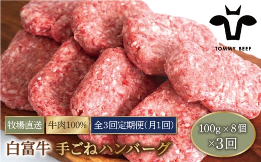 【牧場直送】【3回定期便】白富牛 岩塩と牛肉のみで作った手ごねハンバーグ 100g×8個【有限会社佐賀セントラル牧場】 [IAH054]