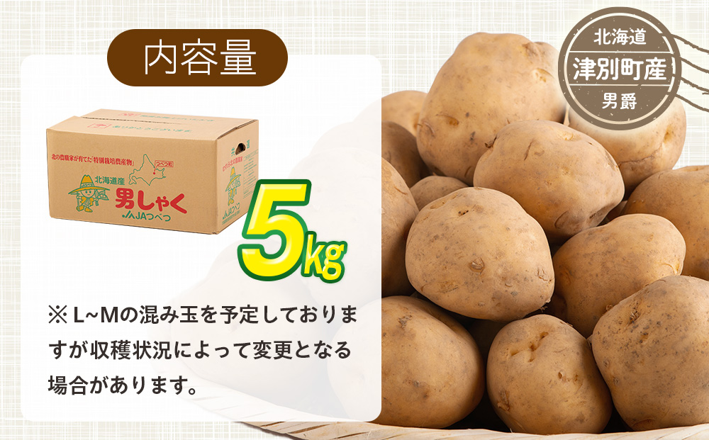 R7年産先行受付 じゃがいも 5kg 特別栽培（男爵） | ジャガイモ 芋 男爵 馬鈴薯 大容量 新鮮 野菜 煮物 カレー シチュー ポテト 保存 特産 産地直送 北海道 津別町 送料無料 5kg