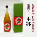 【ふるさと納税】加賀梅酒 日本酒仕込み 果肉入り「本郷」梅酒 お酒 リキュール アルコール 東京大学 東大 ギフト 贈り物 文京区 東京