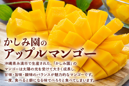 【2024年発送】優秀賞受賞のかしみ園アップルマンゴー1kg