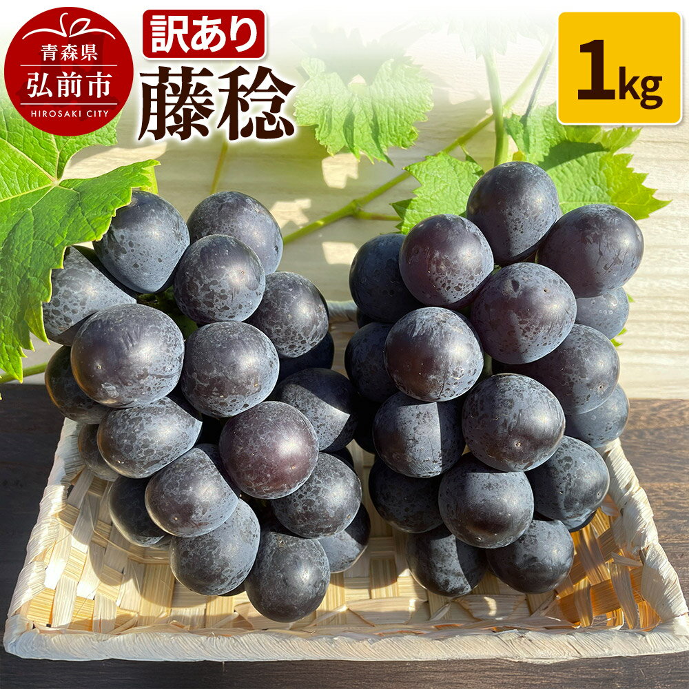 【ふるさと納税】【26年9月〜発送】 【訳あり】 藤稔 1kg【先行受付】 ぶどう フルーツ 果物 ブドウ 葡萄 グレープ くだもの 産地直送 [おいしい グレープ ぶどう フルーツ 果実 果物 美味 葡萄]