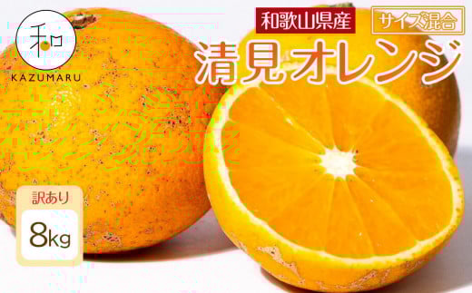 訳あり 森本農園の手選別 清見オレンジ 8kg 和歌山県産 サイズ混合 ［北海道・沖縄・離島配送不可］［RN25］［2026年2月上旬から5月中旬頃順次発送予定］
