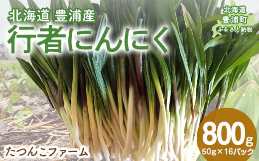 【2026年2月以降順次出荷】北海道豊浦産 行者にんにく 50g×16パック 【 ふるさと納税 人気 おすすめ ランキング 野菜 根菜 にんにく 行者 大容量 おいしい 美味しい 新鮮 北海道 豊浦町 送料無料 TYUF009
