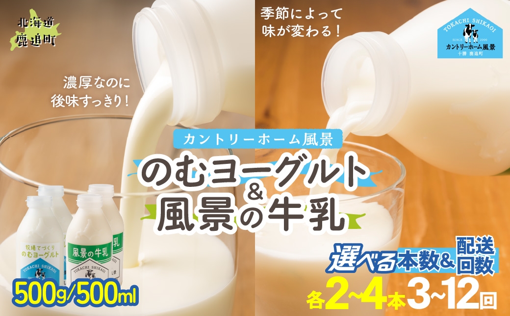 
                  のむヨーグルト500g 風景の牛乳500ml セット 選べる本数 期間 【 ふるさと納税 人気 おすすめ ランキング 牛乳 ヨーグルト 無添加 てんさい オリゴ糖 濃厚 定期便 カントリーホーム風景 北海道 十勝 鹿追町 送料無料 】 SKB103-v
                