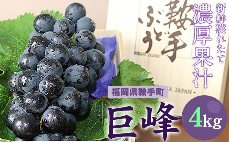 巨峰 4kg(約8〜10房)《8月中旬-9月下旬頃出荷》ぶどう 営農センター フルーツ