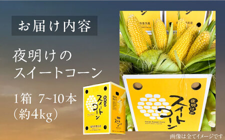 【先行予約】夜明けのスイートコーン 4kg×1箱 7-10本 [VCO001] コーン とうもろこし