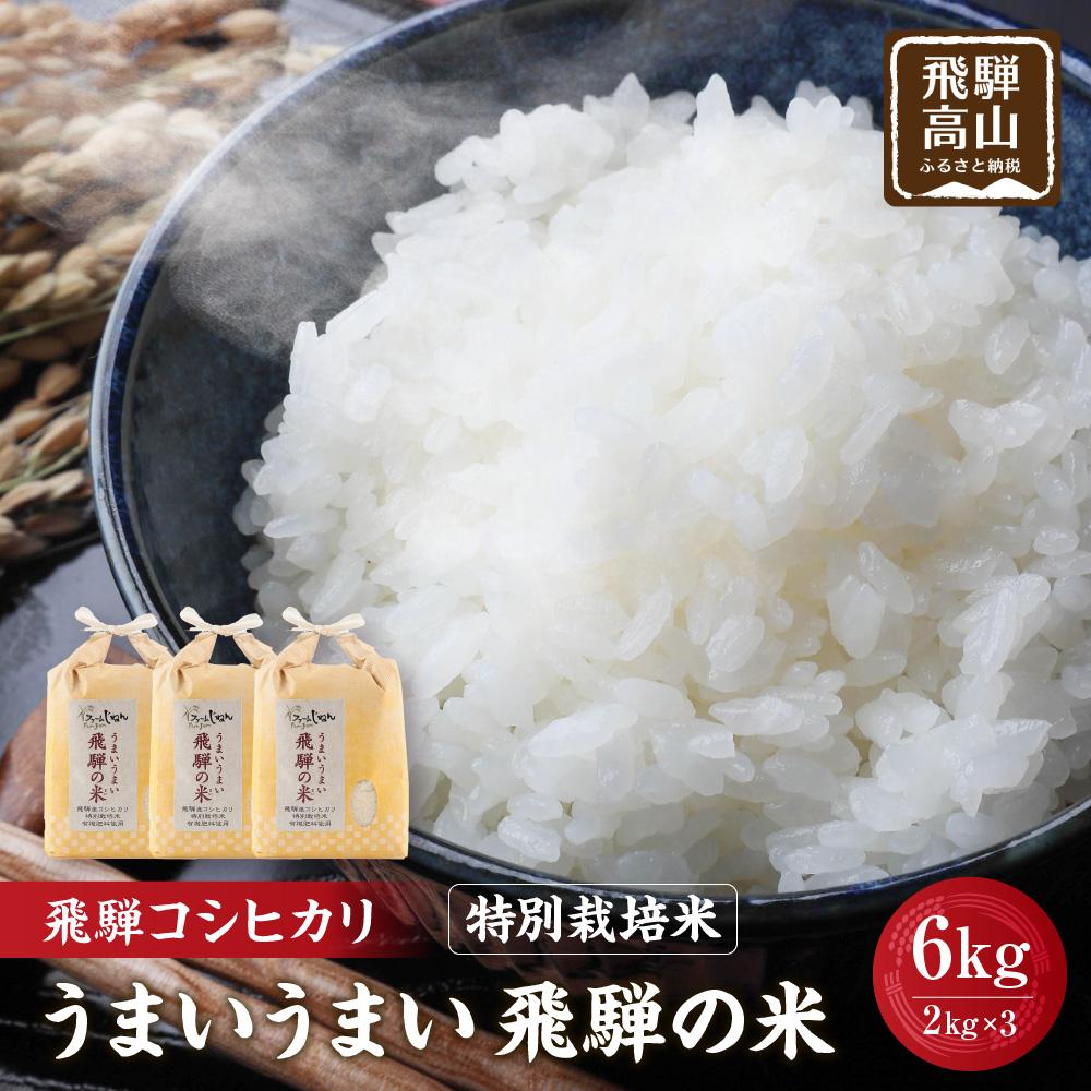 【ふるさと納税】【令和8年産】飛騨コシヒカリ 白米 6kg（2kg×3） 特別栽培米 うまいうまい飛騨の米 | こしひかり お米 精米したて 節減農薬米 のし対応 飛騨高山 ファームジネンいいむら GG005