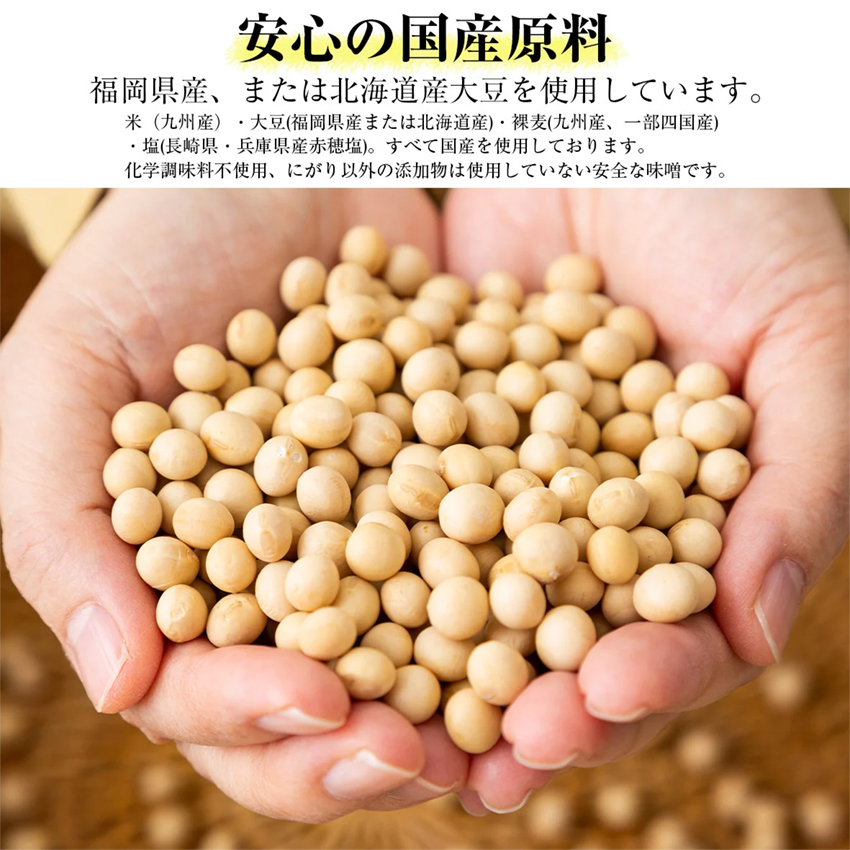 【若宮みそ】昔ながらの手造り味噌 米味噌0.9kg・合わせ味噌1.8kg 詰め合わせ Ｍ590-4-1