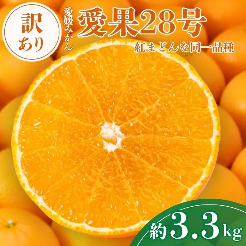 愛果28号 約3.3kg ご家庭用 みかん 紅まどんなと同品種 柑橘 愛媛 【2026年11月下旬から順次発送予定】 先行予約 数量限定 人気 伊予市｜B456