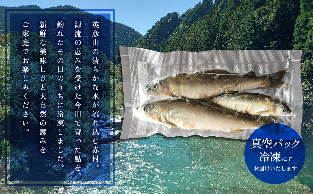冷凍鮎　約200g 3E3
