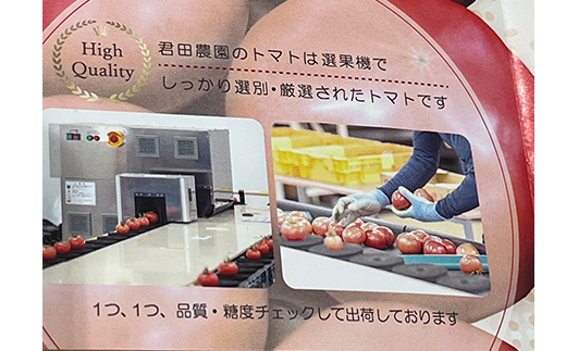 佐野市 元気になるトマト【フルーツトマト】