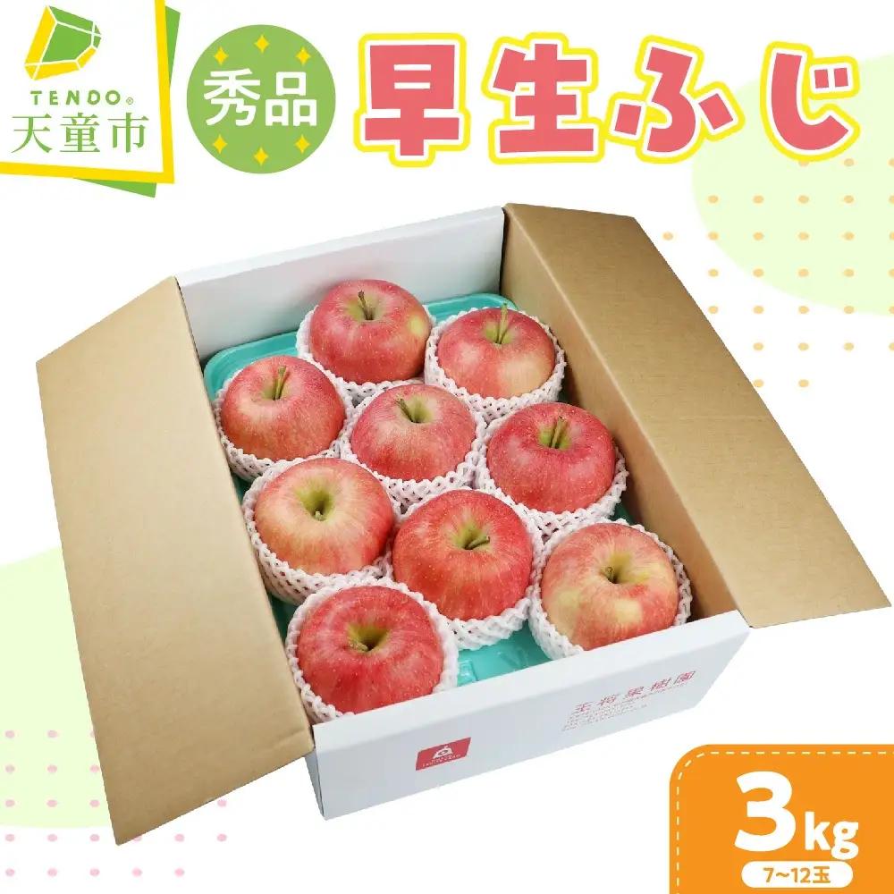りんご 早生ふじ 3kg 果物 山形 りんご