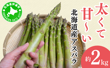 【2026年先行予約】太くてあまーい 北海道産 春芽 アスパラ (約2kg／LL以上中心＋3L・L混合 ) 先行予約 新鮮 採れたて直送 旬 野菜 あすぱら 農家直送 北海道  Farm&Firm かたもと 伊達市