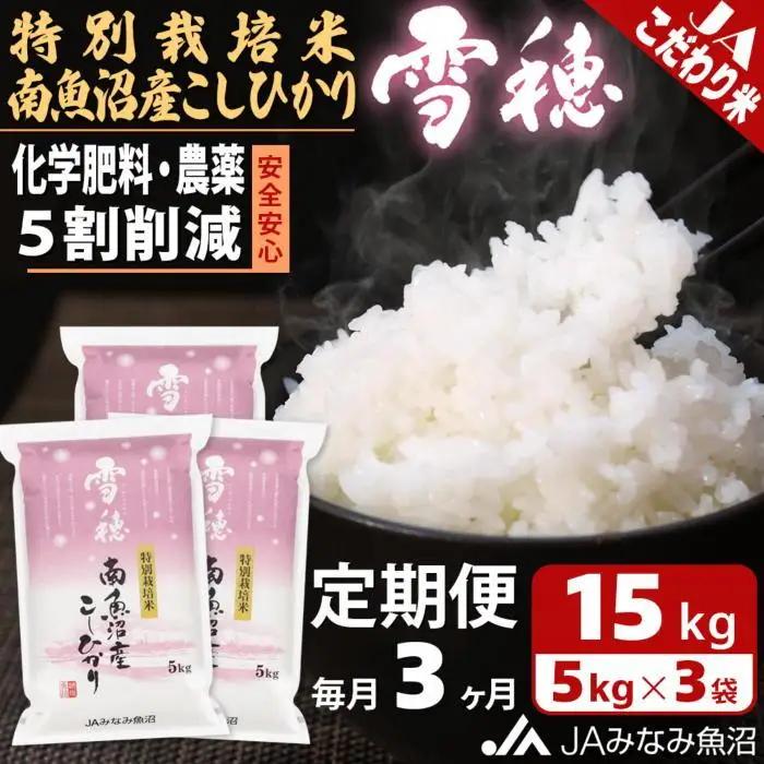 【JAみなみ魚沼定期便】特別栽培米南魚沼産こしひかり「雪穂」（15kg×全3回）精米｜こしひかり