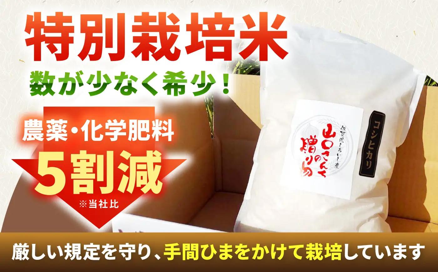 【先行予約　2026年8月～発送】令和8年産 特別栽培米！コシヒカリ10kg / お米 [IAS002]