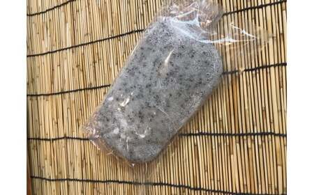 冷凍 のし餅 ハーフサイズ (約 550g ) × 3枚 ( 白 ・ 黒豆 ・ 胡麻 ) セット【杵つき】岩手県 北上市 C0555 使いきりサイズ ！ 北上名物 展勝地もち つきたて 臼 杵 もち米