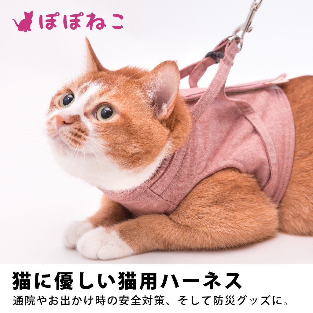 ぽぽねこ ギフト券 15,000円分 （Eメールタイプ）