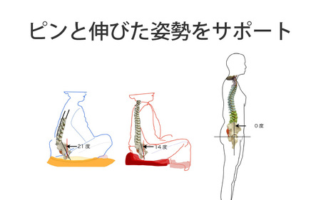 【人間工学】 骨盤ざぶとん（ワインレッド）